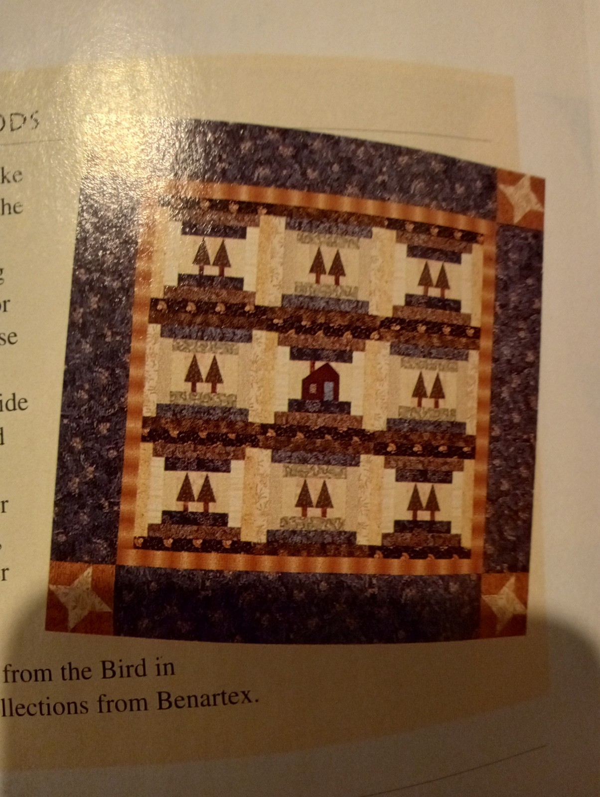 Picture 5 of 14