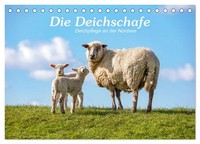 Die Deichschafe. Deichpflege An Der Nordsee (Tischkalender 2027 DIN A5 Quer), CA