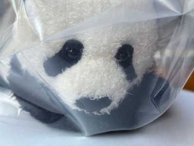Ueno Zoo Shanshan Plush Toy 23cm Collection 3rd Anniversary Gift