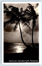 POSTCARD RPPC Nature's Handicraft Panama Palm Trees at Moonlight 1941