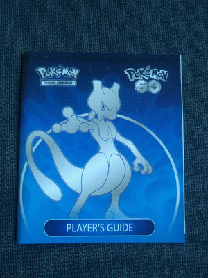Pokemon Players Guide Pokemon go english