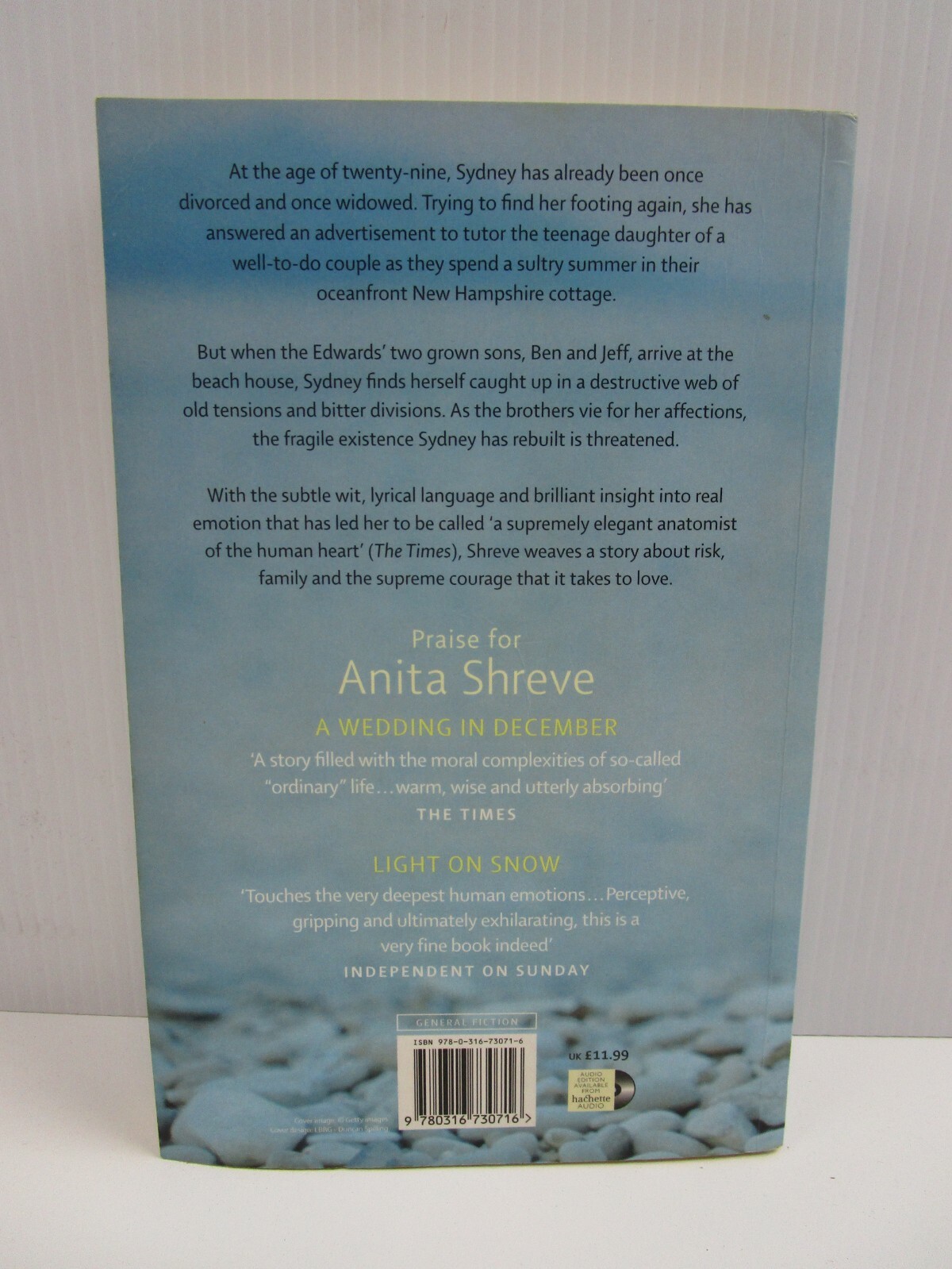Body Surfing by Anita Shreve (Paperback, Book, 2009) 9780748115587 eBay
