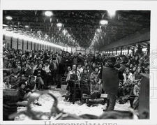 1978 Press Photo Triple A Farms Auction Crowded with Interested Buyers