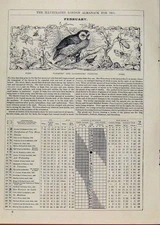 Original Old Antique Print 1891 Farmers Gardeners Birds Animals February Events