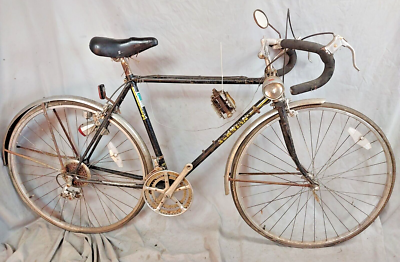 シュウィン　world sport 80年代 1984 Schwinn World Sport Touring Road Bike 54cm Small Lugged Steel