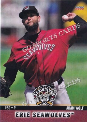 2022 Erie SeaWolves Adam Wolf RC Rookie Detroit Tigers