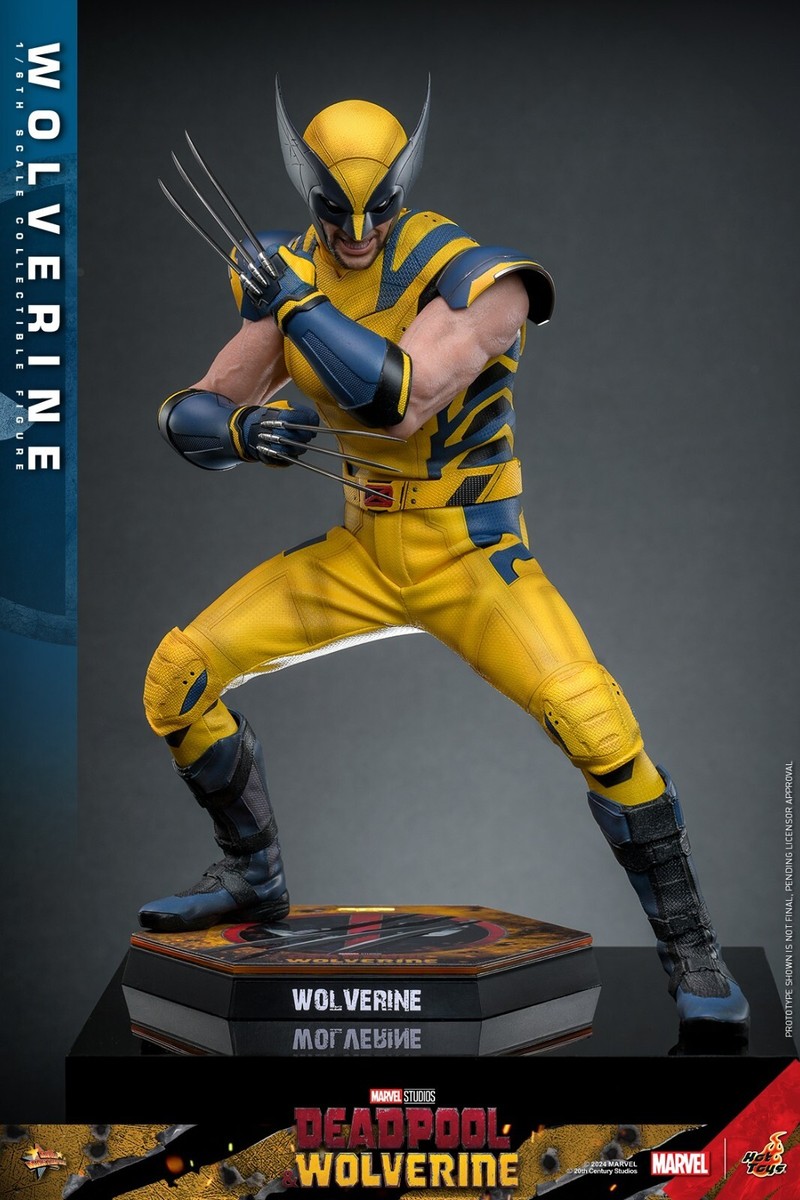 Pre-order Hot Toys MMS753 1/6 Deadpool & Wolverine Wolverine
