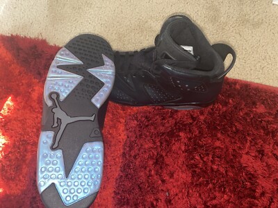 jordan 6 chameleon for sale