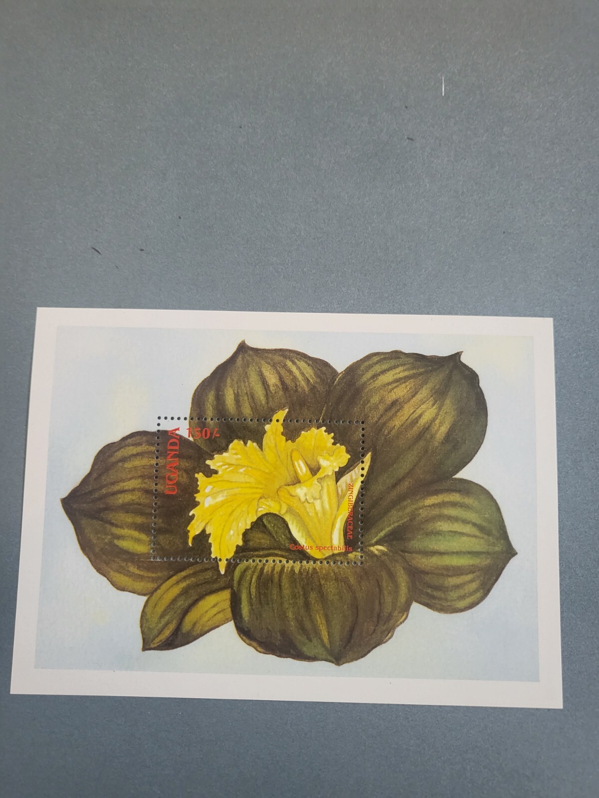 Picture 1 of 1