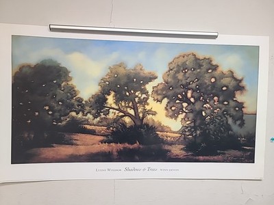 39W''x22H''Shadow & Tree by LYNNE WINDSOR - STREAM THROUGH FIELD CHOICES of CANVAS