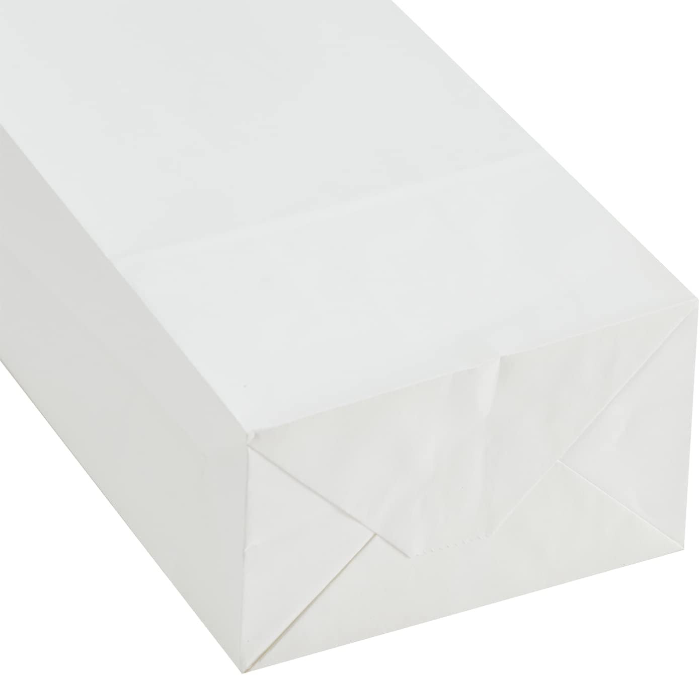 40 Count White Grocery Lunch Bag Kraft Paper Bags 4 lb Capacity