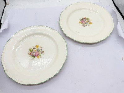 2 VINTAGE WOODS WARE FLORAL SPEISETELLER PORZELLAN BLUMENMUSTER GRÜNER RAND