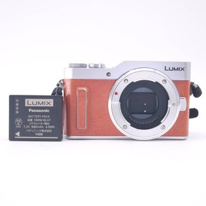 Lumix Gf10 | eBay