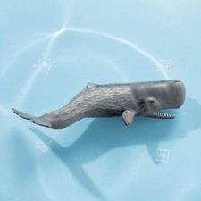 Sperm Marine Mammal Model Realistic Ocean Creature Toy Gift for Study