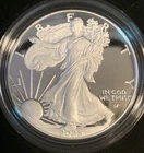 2025 W Silver Eagle One Ounce Proof in US Mint Box, Leather Display Case and COA