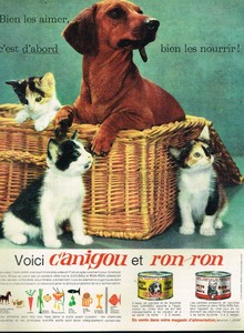 A Publicite Advertising 1962 Aliment Chien Et Chat Canigou Et Ron Ron Ebay A Publicite Advertising 1962 Aliment Chien Et Chat Canigou Et Ron Ron Ebay