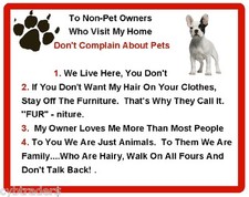 Larger 8" x 10" Funny Dog Chihuahua House Rules Refrigerator / Fridge Magnet
