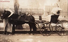 RPPC Postcard Woman Driving Horse Drawn Cart Woman Hugging Horse
