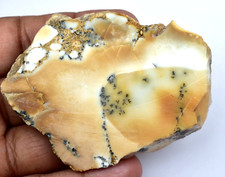 Uncut Natural African Dendrite Opal 221.90 Ct Untreated Specimen Slab Loose Gem