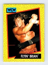 #59 BRIAN PILLMAN TRADING CARD WCW Wrestling Vintage 1991 Impel SAL1