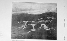 Original Old Antique Print 1906 Foxhounds Dogs Hunting Sport Country 20th