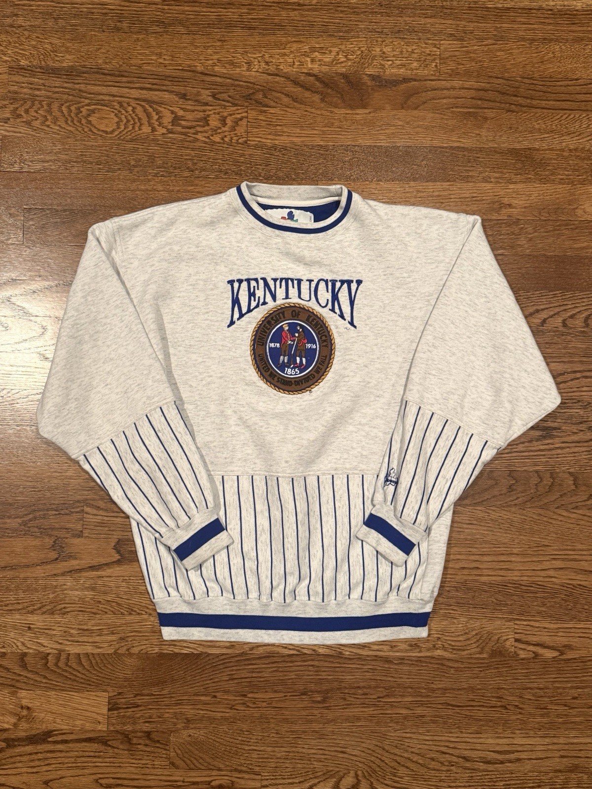 Vintage University of Kentucky Crewneck Sweatshirt Embroidered Seal Pinstripe L