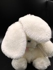 Foto 20 di 21