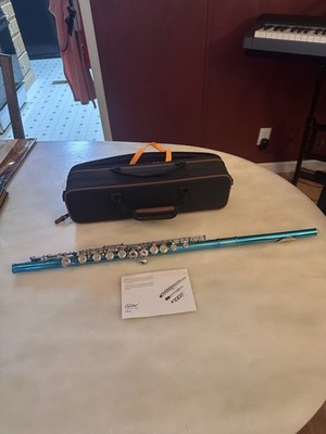 Easter 16-Hole Flute with Case Perfect for Beginners bright blue