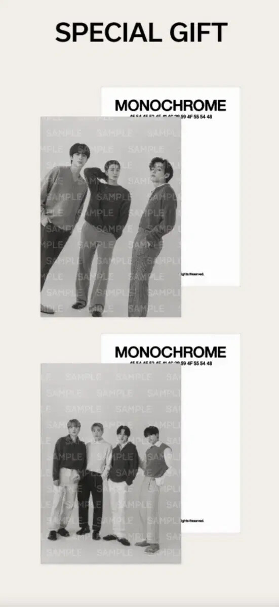 新品✨BTS MONOCHROME リング カード2枚付き BTS MONOCHROME リング カード2枚付き 大人気新作 MONOCHROME