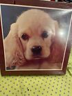 American Publishing Corp Puzzle 551 Pcs Puppy - Cocker Spaniel - 18X24 New