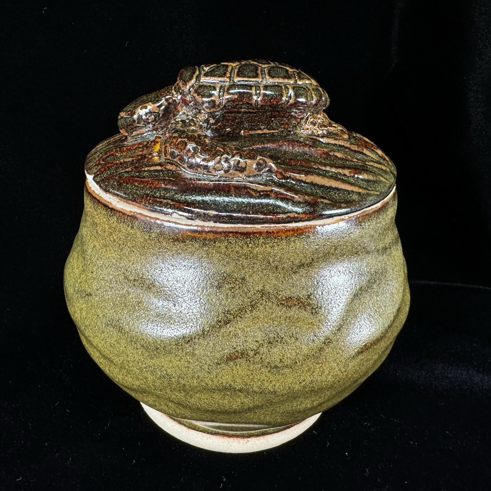 2014 RAYMOND MIHM Studio Art Pottery SEA TURTLE BOX Jar w/Sculpted Lid Maryland