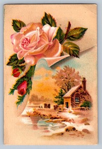 Trade Card Woolson Spice Lion Coffee Pink Rose Country Scene   P213
