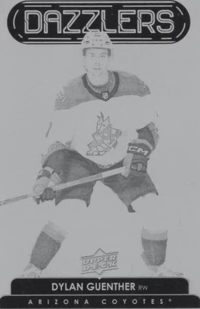 Printing Plate Black