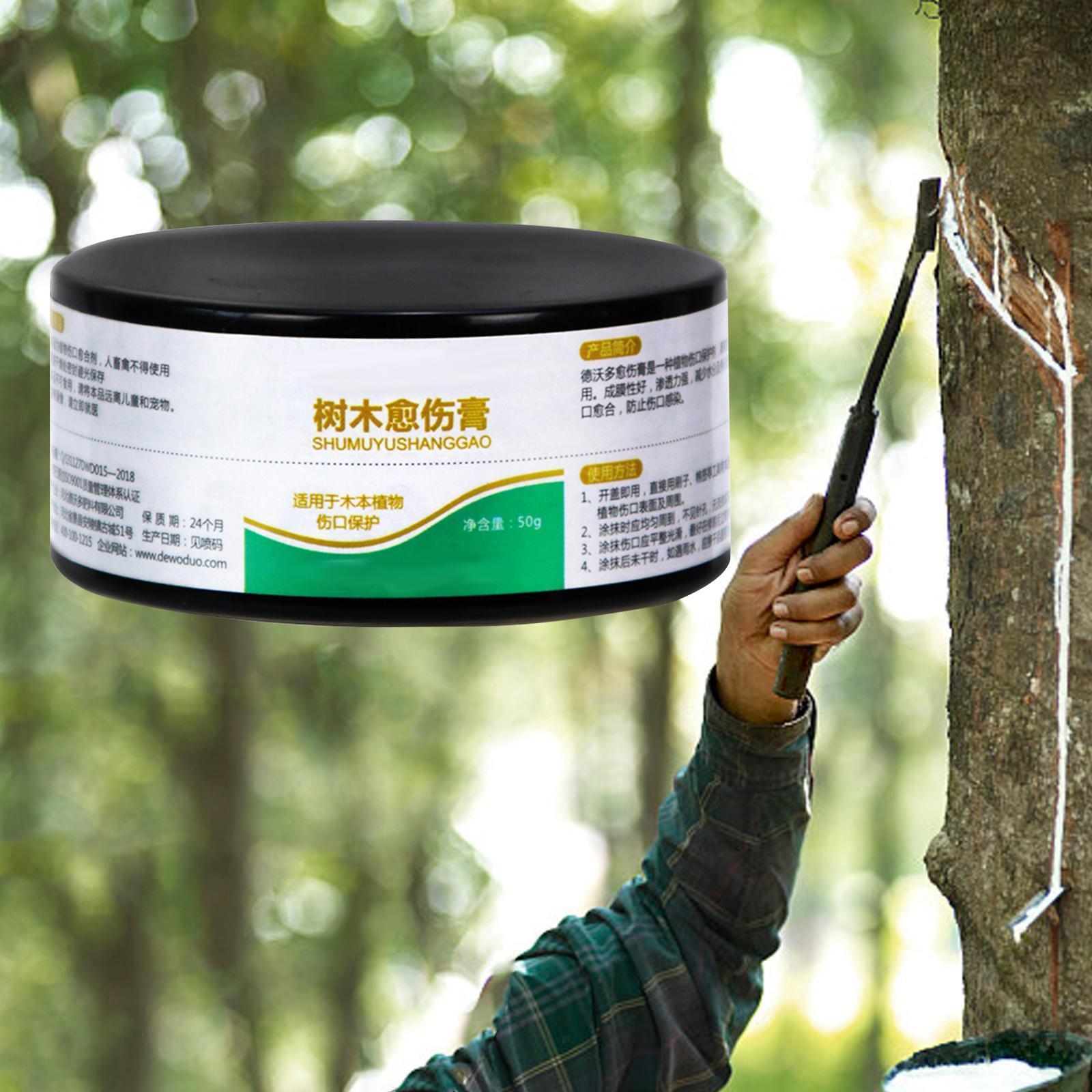 Trees Wound Sealer Bonsai Cutting Paste Bonsai Pruning Cutting Paste
