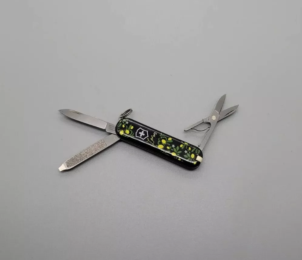 Victorinox warehouse sale 2019 cheap