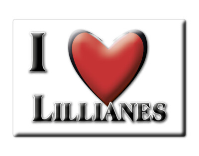 Lillianes Magnet (AO) - Valle D'Aosta Fridge Magnet Souvenir Italy Gift