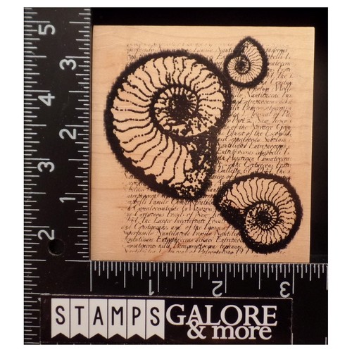Club Scrap Rubber Stamps SCRIPT BACKGROUND WORDS SEA SHELLS BEACH DISTRESSED 834