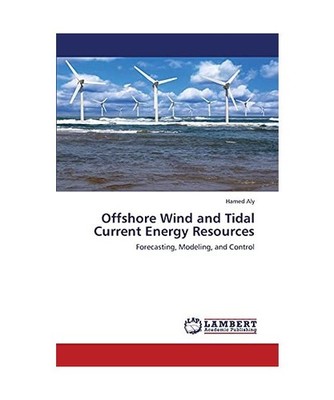 Offshore Wind and Tidal Current Energy Resources: Forecasting, Modeling, and Con