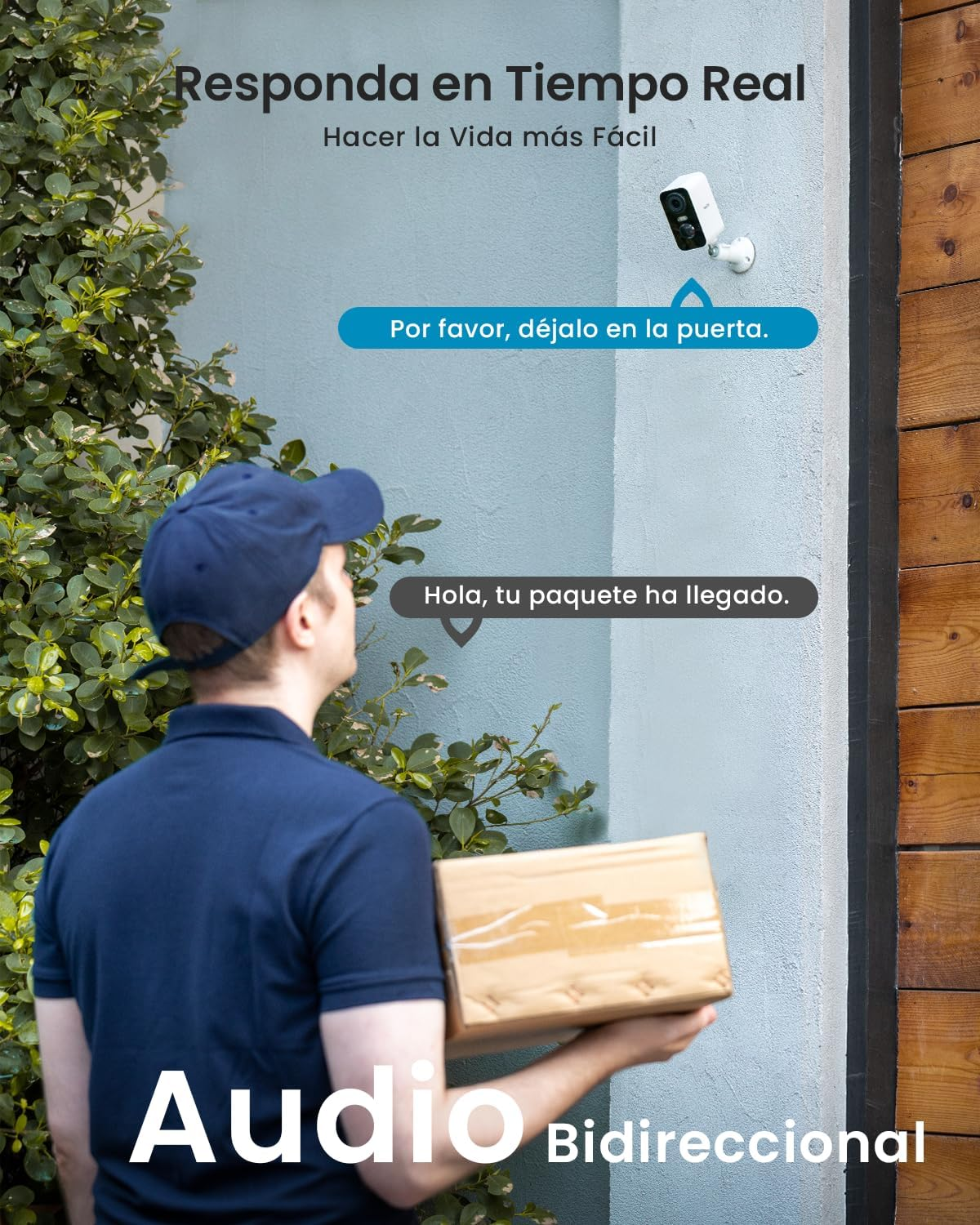 Imagen 8 de 12