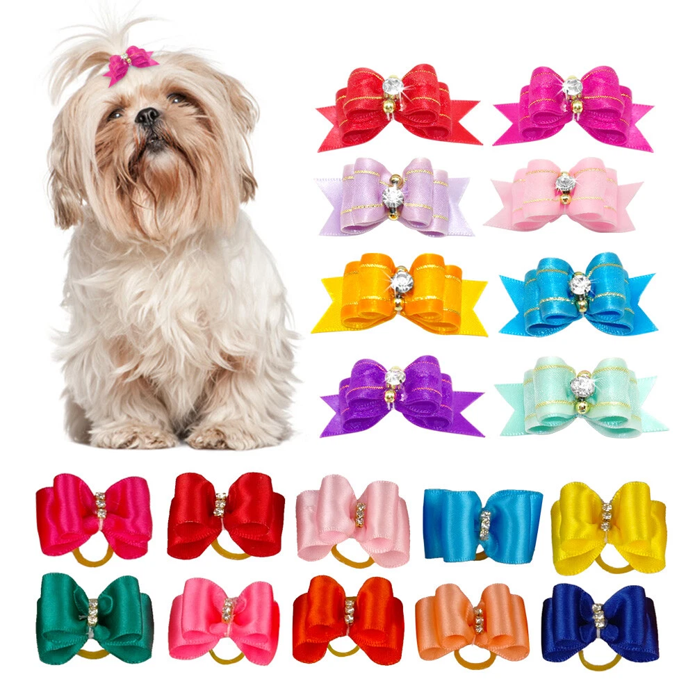 Dog bows top with rubber bands