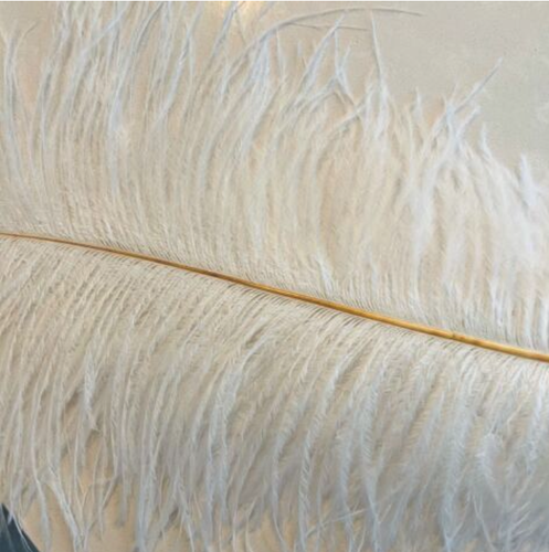 Individual Ostrich Feathers 50-55 Cm 12 Colours Decorative Feathers Wedding - Picture 18 of 18
