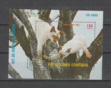 BLOC nature faune   CHAT  GUINEE EQUATORIAL  130E  oblitéré