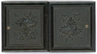 2-117H GRAPE VINE SIXTEENTH PLATE DOUBLE UNION CASE SHINY MATS PRESERVERS GLASS