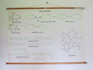 Biochemistry Chart