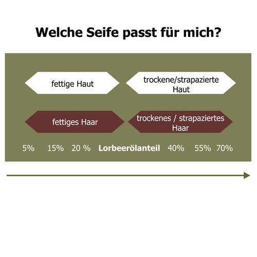 Flüssige Aleppo-Seife Flüssigseife Duschgel 250ml #Alepposeife 25% Lorbeeröl - Bild 7 von 7