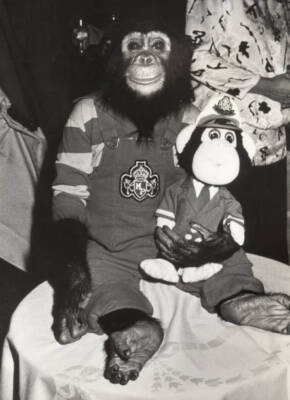 Bubbles the Chimp at 3rd Amanda Foundation Celebrity Fashion - 1987 Old Photo
