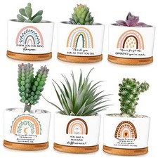  6 Pcs Thank You Appreciation Gift Friends Succulent Pots Mini Boho Style