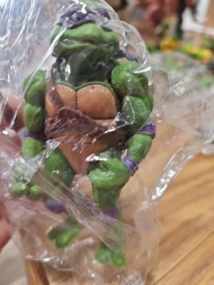 Teenage Mutant Ninja Turtles  Turtle Action Figure w/ Staff Purple 