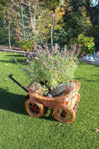 Korb Pflanzgefäße Korbgeflecht Weidenkörbe Körbe Rattan Pflanzkorb Pflanzkasten - Picture 48 of 69