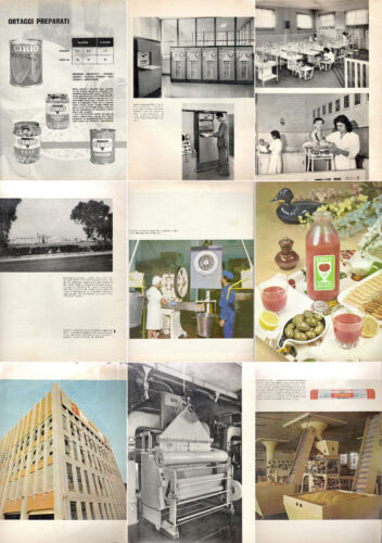 Lebensmittelindustrie CIRIO Tomaten Technologie Unternehmen Produkte Marmeladen 70er